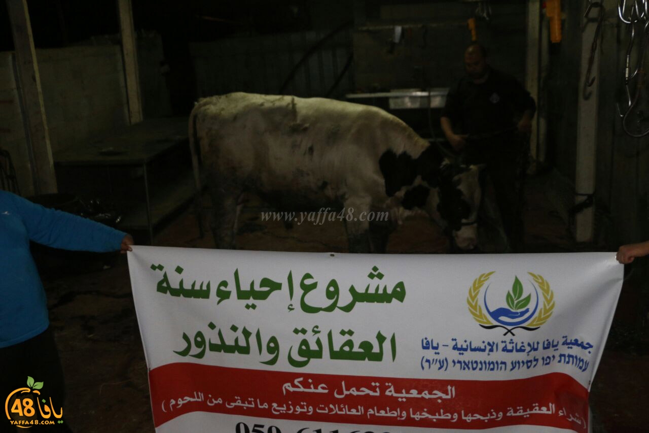 mashro3 ada7yau (6).jpg